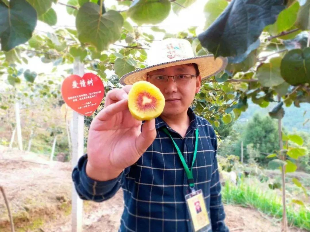 新型农业模式种植什么最赚钱,搞农业致富