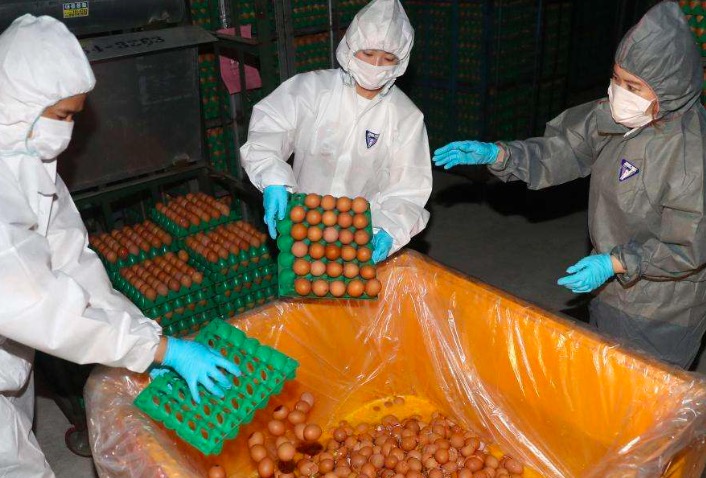 鸡蛋煮太熟对人吃了有伤害吗,鸡蛋煮太过是不是会胀气