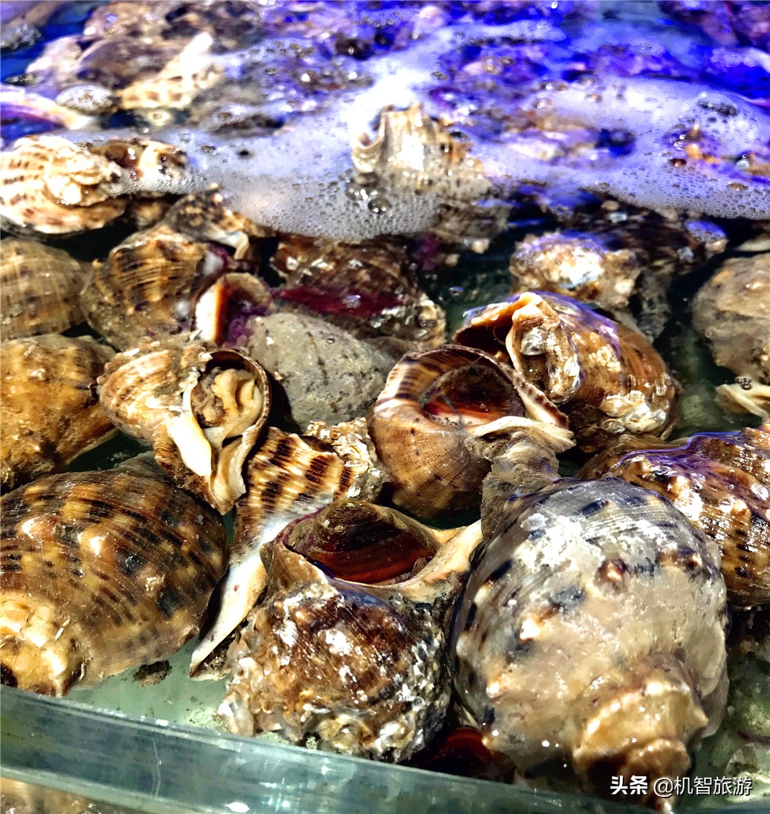 日照渔家乐带小院的住宿推荐,日照渔家乐民宿避雷