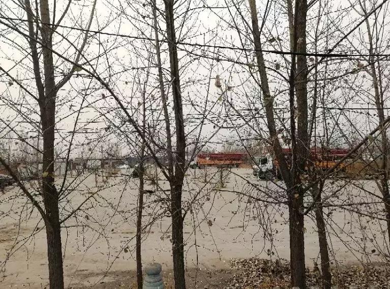 那个曾经最大的泵车租赁公司，在这里悄悄死去……