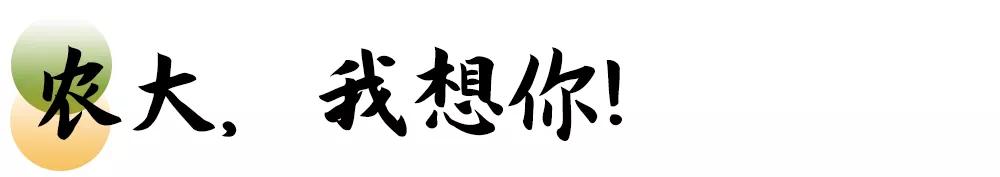 母校我想你,想你母校