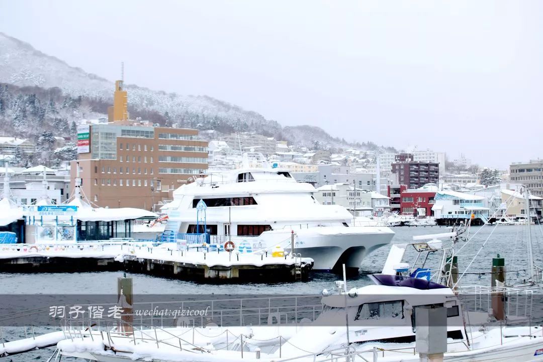 不会日语日本自由行好吗,不会日语的北海道自由行攻略