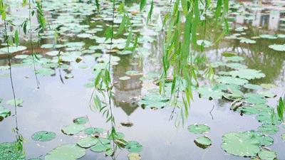 便携风扇大风力,最简单的风扇手持