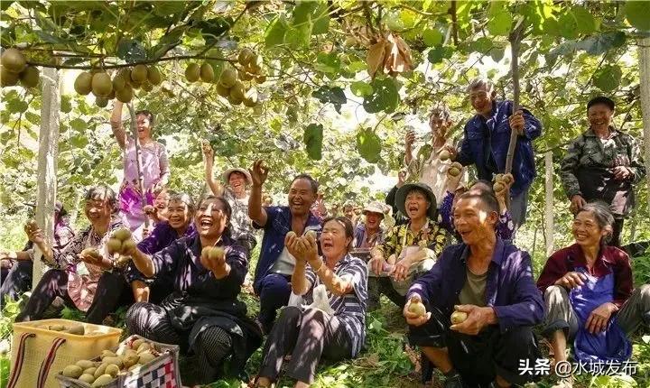 水城:产业兴旺乡村美