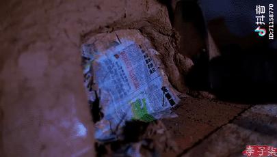 抖音全网第一名李子柒,李子柒抖音最火的女人