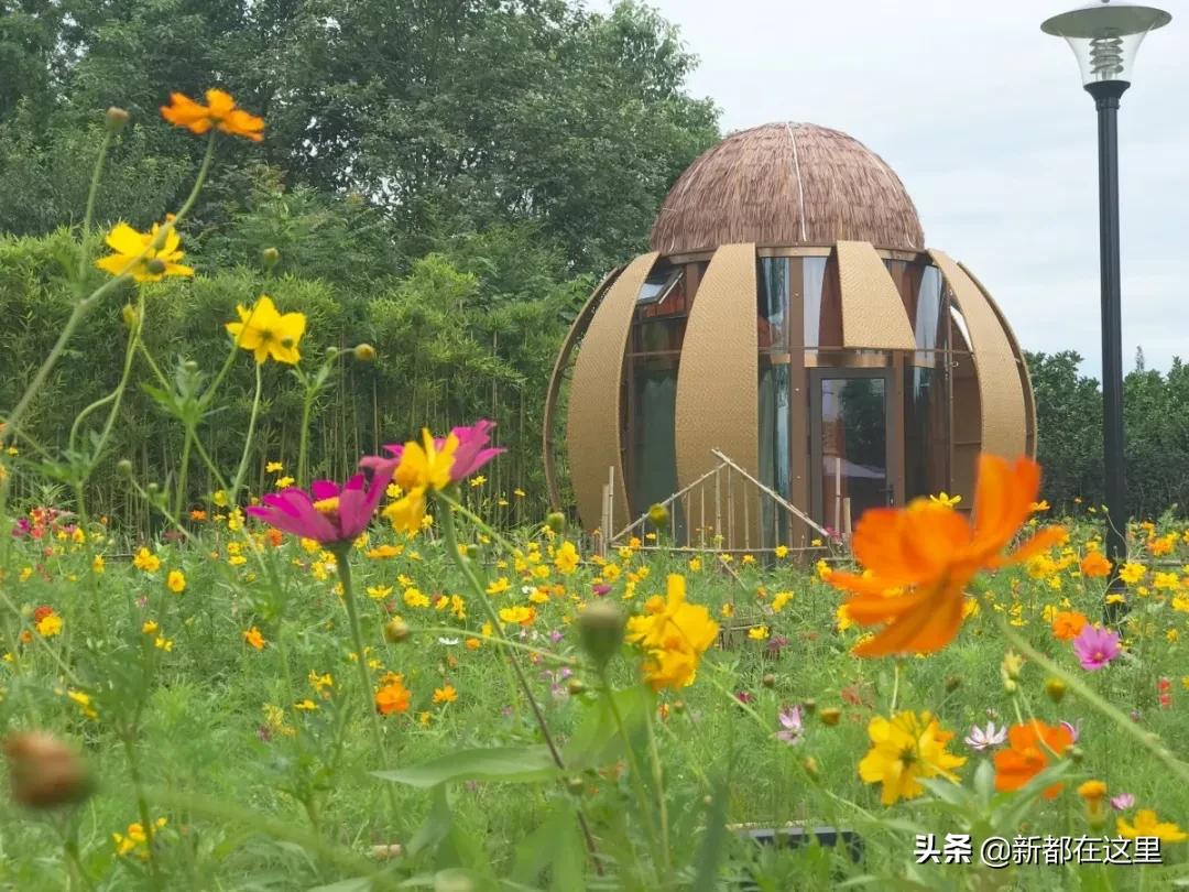 周末新都耍了一圈，朋友都以为我出了趟国