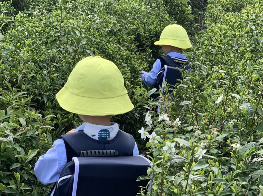 宜兴实验幼儿园2024年招生,宜兴国际幼儿园