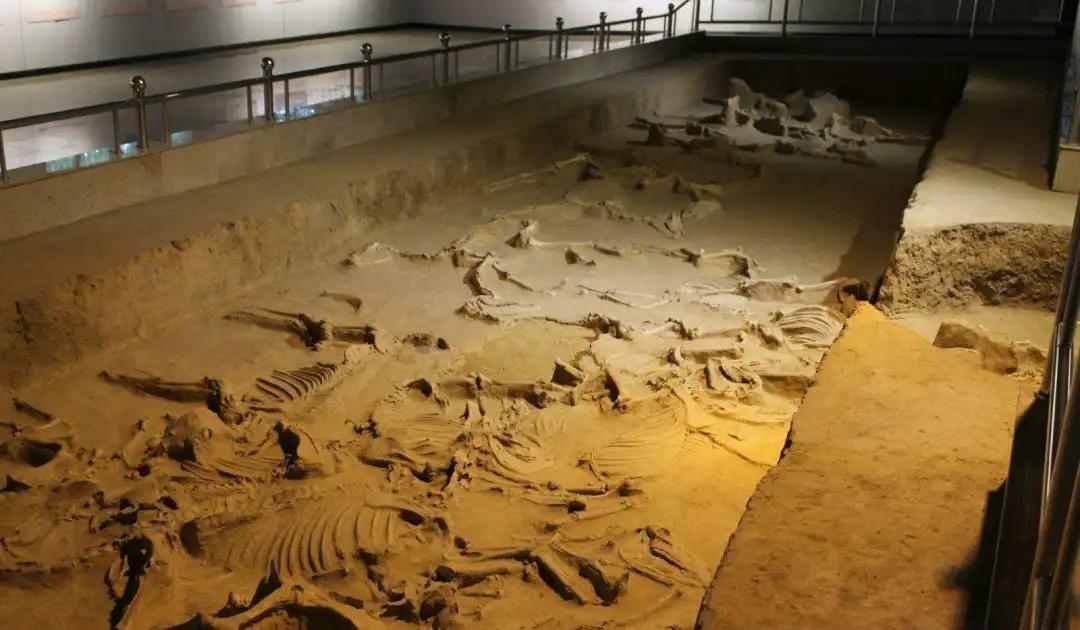 河南有几个国保,河南有哪些国保