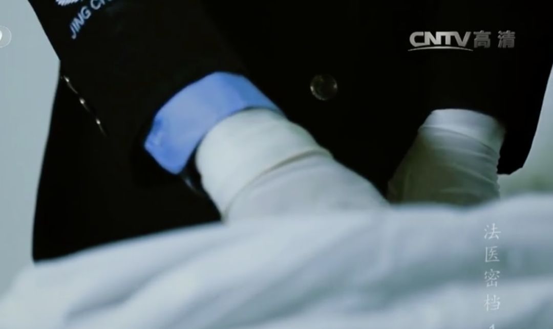 成功处理尸体,专业人士处理尸体