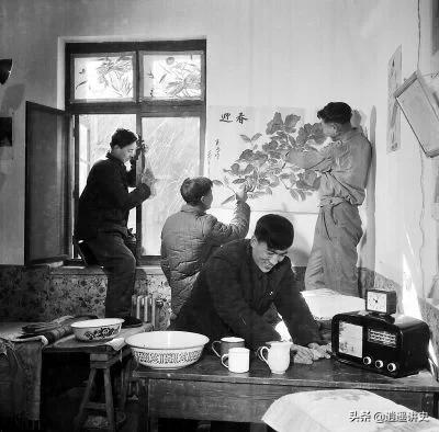 抓老鼠除蟑螂,灭四害捉老鼠