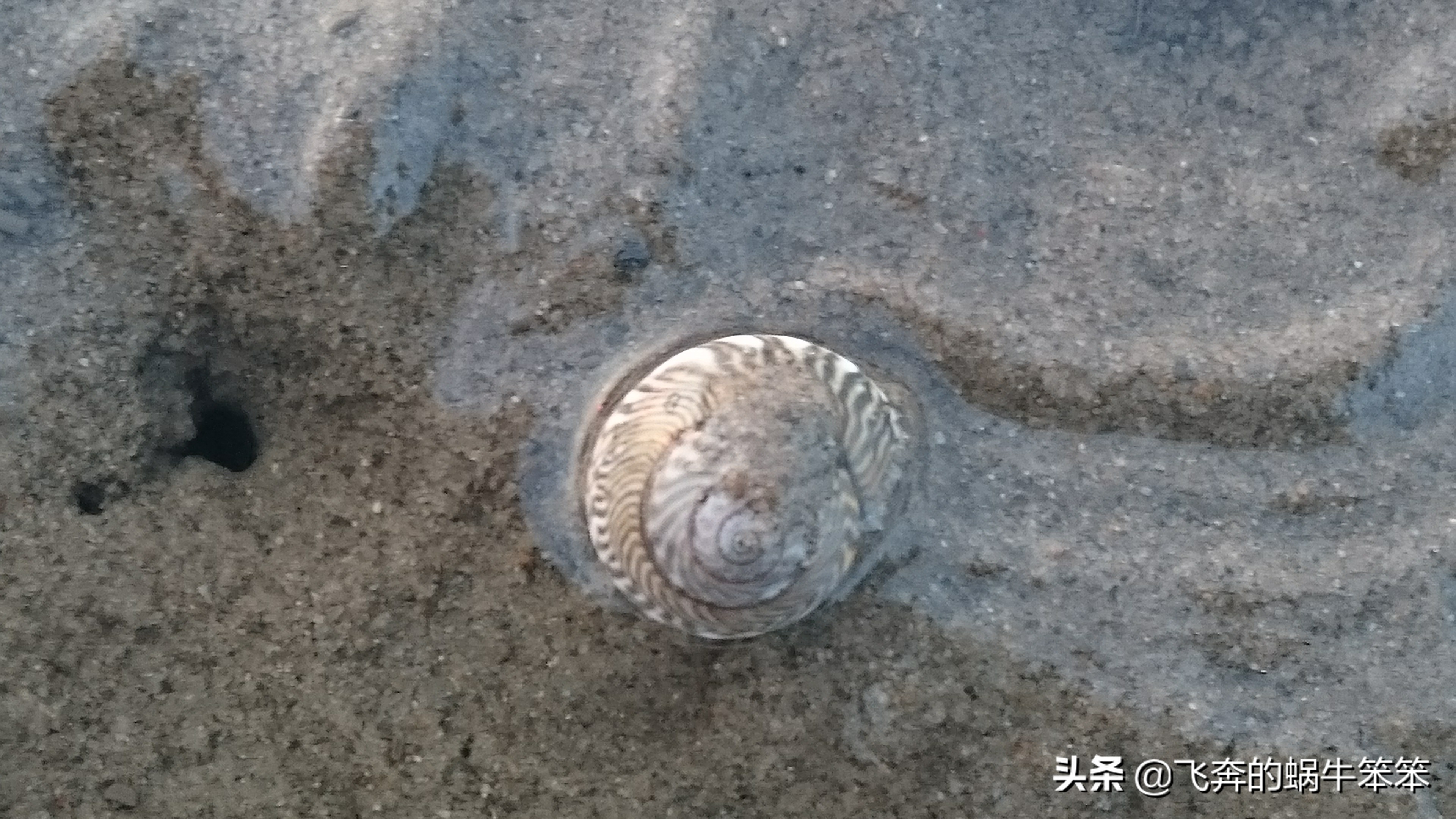 乐亭月岛赶海攻略,赶海看日出