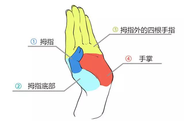 画动漫人物女生的手部教程,动漫人物的手怎么画简单又漂亮