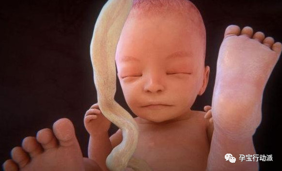 胎盘钙化与吃钙有关吗,胎盘钙化是摄入的钙太多了吗