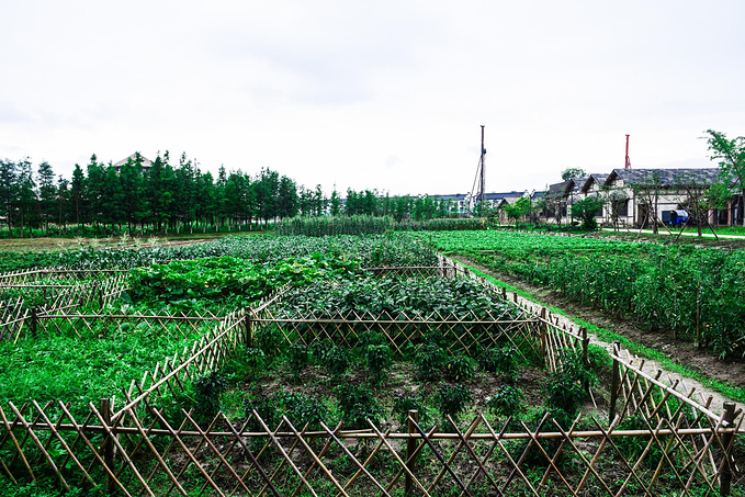 乌村暑期夏令营，吃喝玩乐在这里