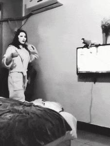 超级搞笑gif图,超好笑gif图