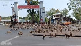 国外的月亮有多可怕,外国的月亮是不是比较大