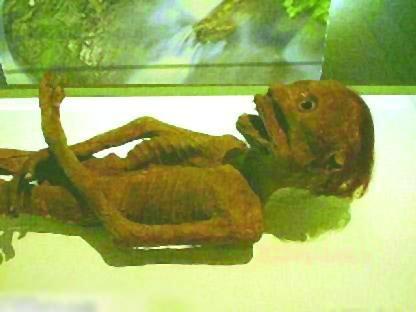 河童是日本水神吗,水神河童