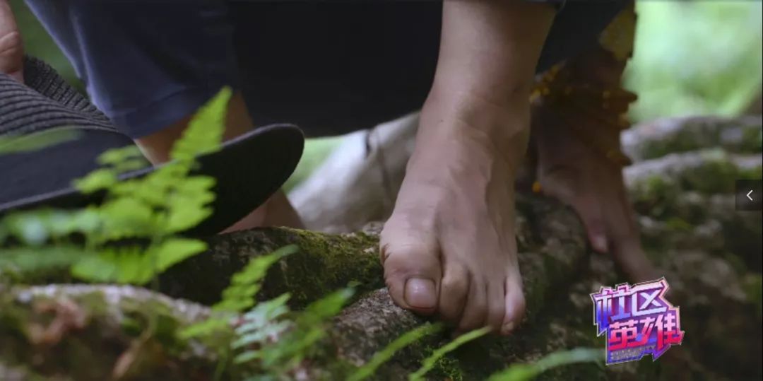 29岁不当记者，追随德国老公守护雨林，两女儿宛如天使，可不上学