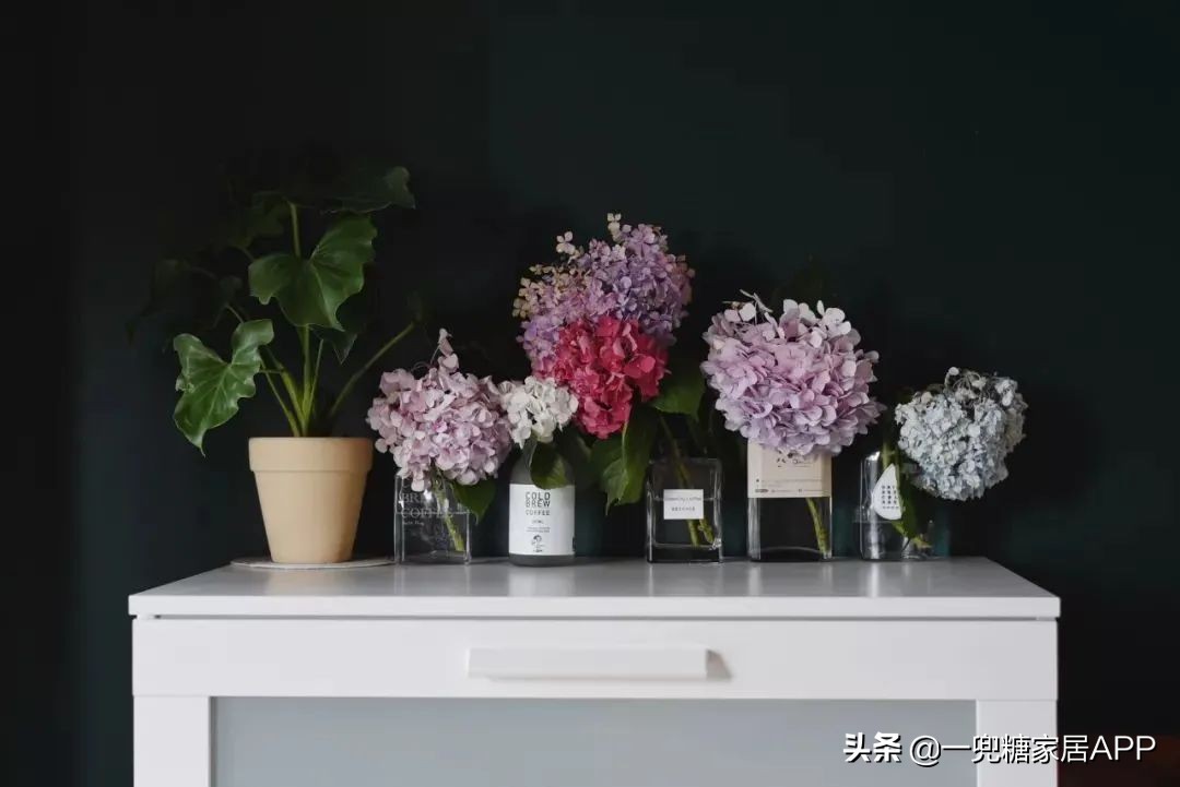 春天花会开|这20家植物淘宝店，植物杀手看了也想买！