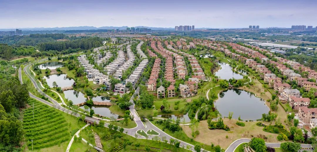 多彩新区,你pick谁?