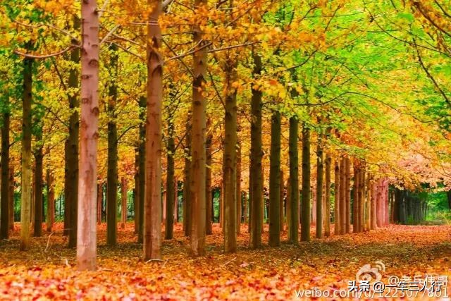 大连有一个蓝色的小城堡景点,大连秋季旅游景点攻略大全