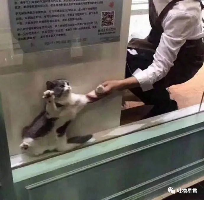 发现男朋友微信小号,发现了男友微信小号