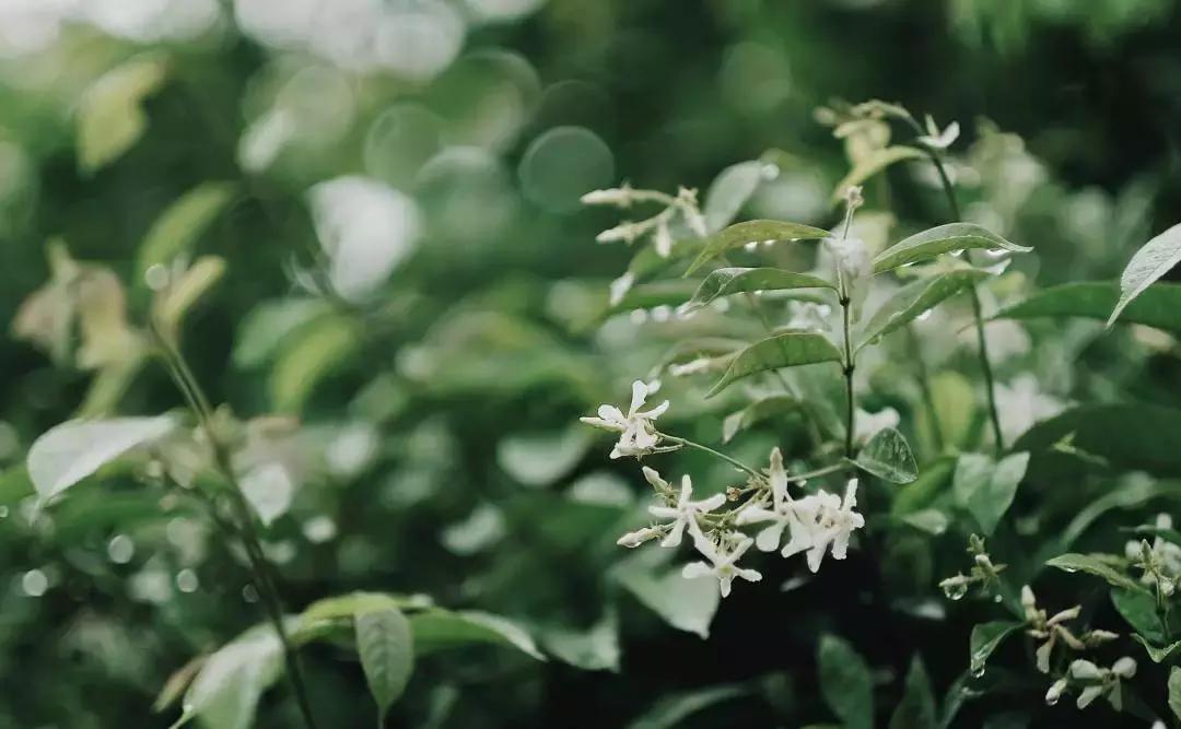 熊继柏纠正对中医的几个错误观念,熊继柏谈中医治疗
