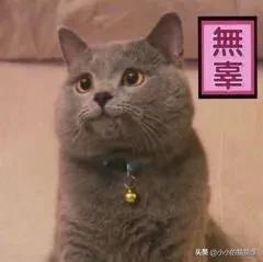 情侣同居过夜到底有多危险？看完我彻底慌了！！！