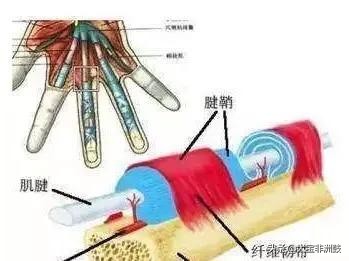 打非洲鼓手疼的几点分析玩非洲鼓手疼之原因