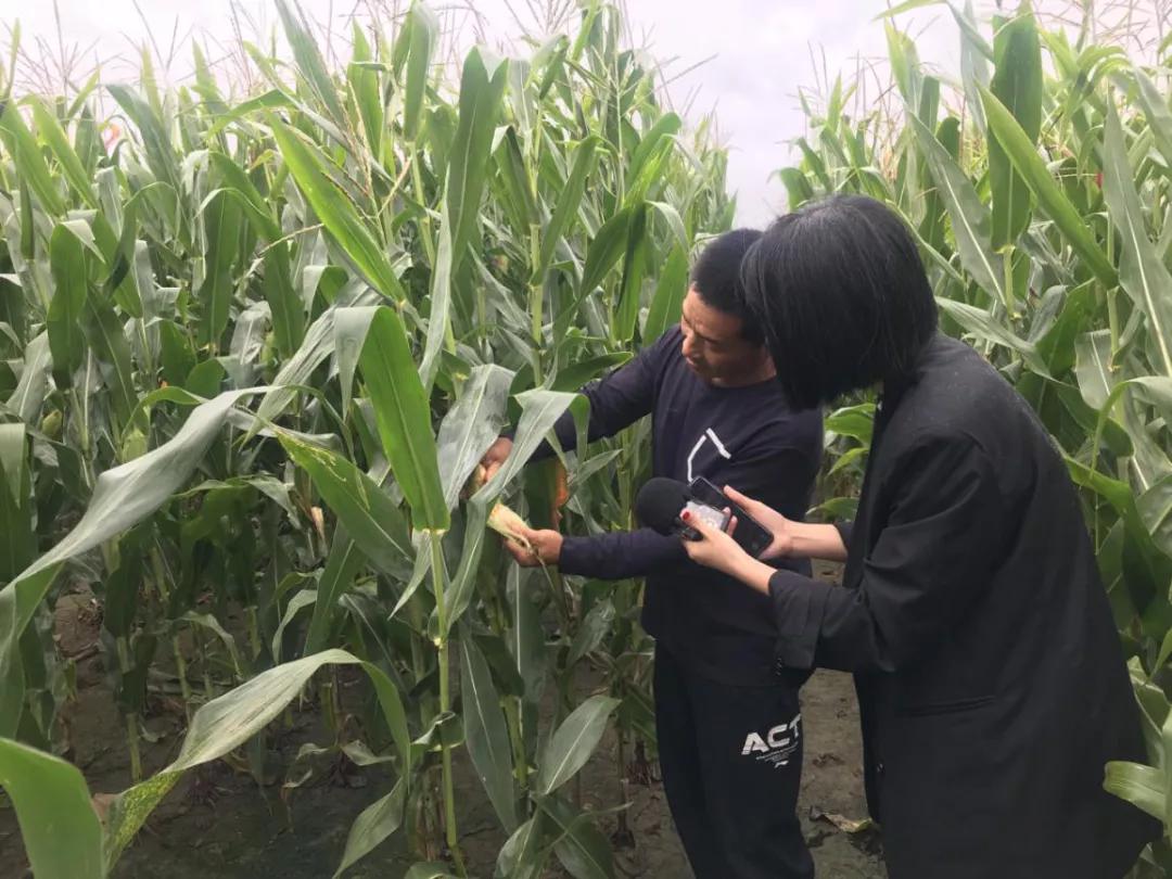 澶х帀绫宠豹杞︽憜鍦版憡,澶х帀绫宠豹杞︽憜鍦版憡浣嶇疆