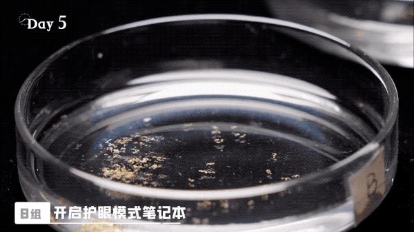 笔记本电脑抗蓝光和护眼屏的区别,防蓝光护眼电脑屏幕真的能有效吗