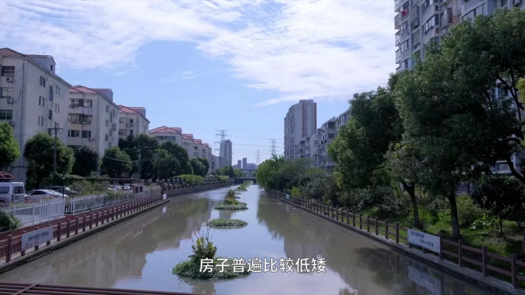 张江长三角科技城属于上海吗,上海张江科学城