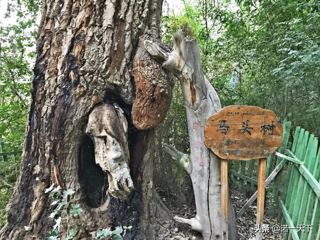 旅行新疆的美,旅行带你感受不一样的文化风情