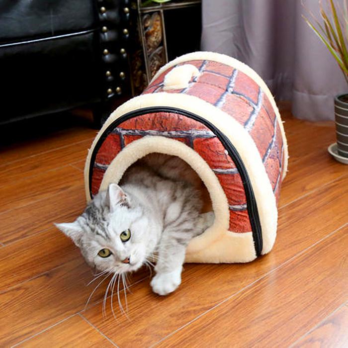 猫咪有毛怎么还怕冷,别看猫咪那么多毛猫咪是很怕冷的