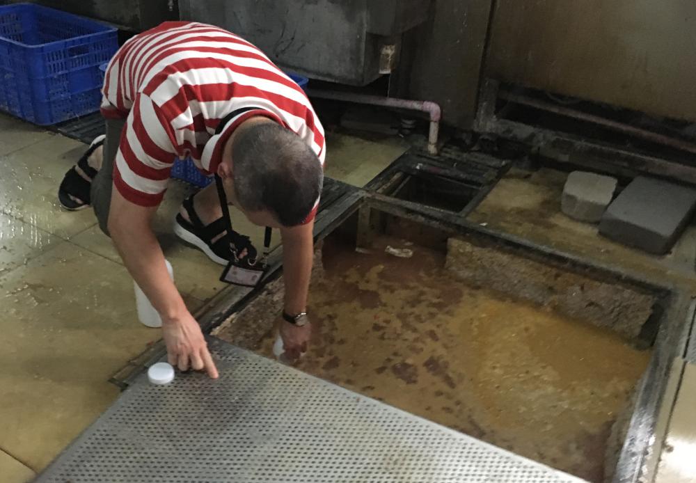 深圳东进龙岗,东进龙岗