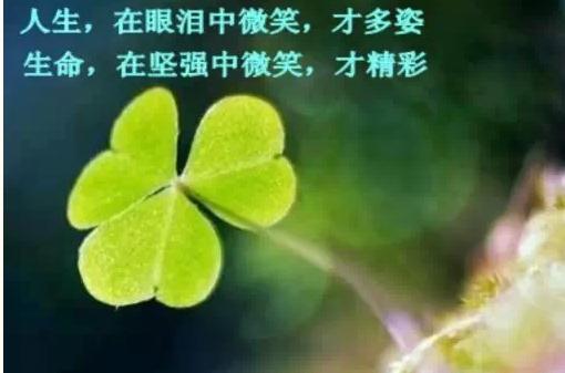 天下雨了能撑伞吗,天在下雨可以撑伞心在下雨该咋办