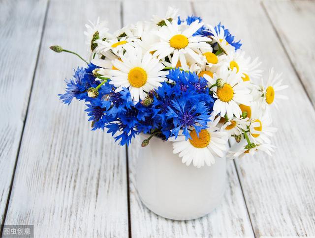 堂堂正正做人明明白白做事抖音,堂堂正正做人明明白白做事的意思