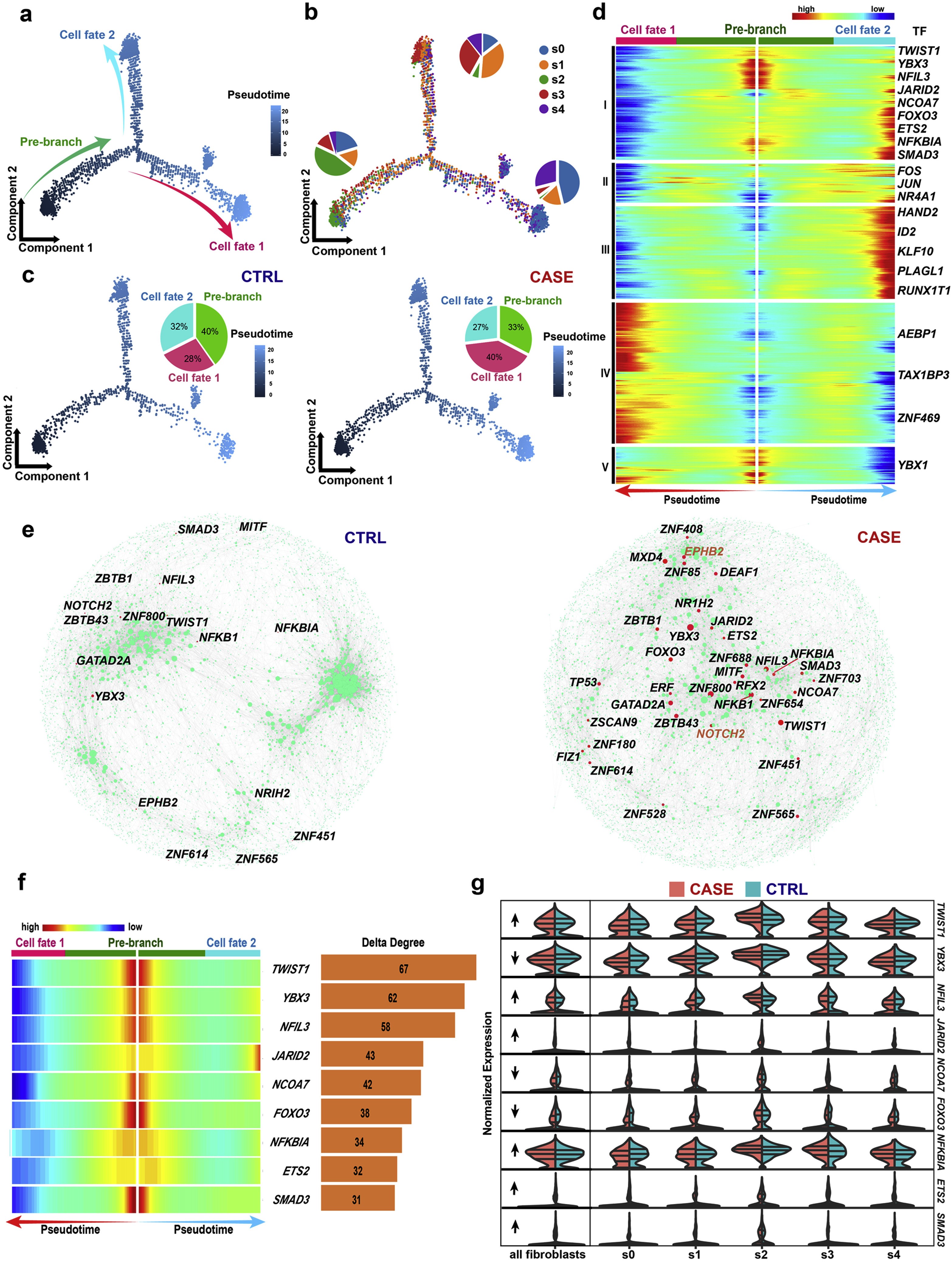 瘢痕疙瘩发病原因,皮肤瘢痕症