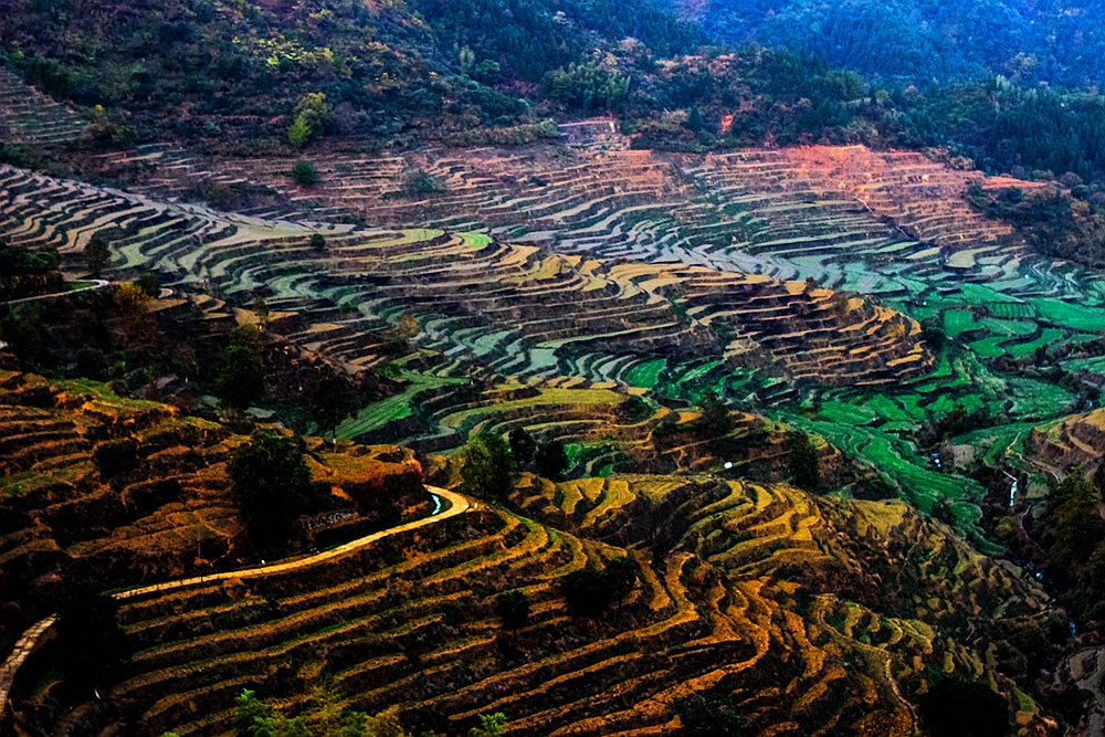 婺源篁岭梯田花海,婺源篁岭欢乐颂