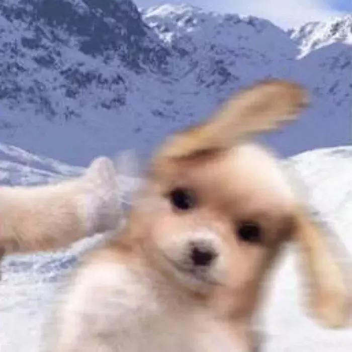 异地恋除了聊天还能做什么,异地恋除了聊天还能干啥