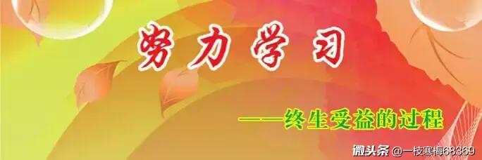 初中英语句型结构讲解视频,初中英语作文常用句型70个