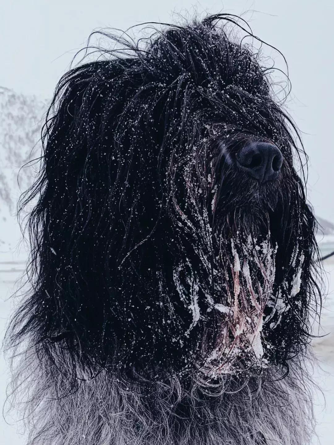 iphone13相机最佳设置,iphone12pro相机设置