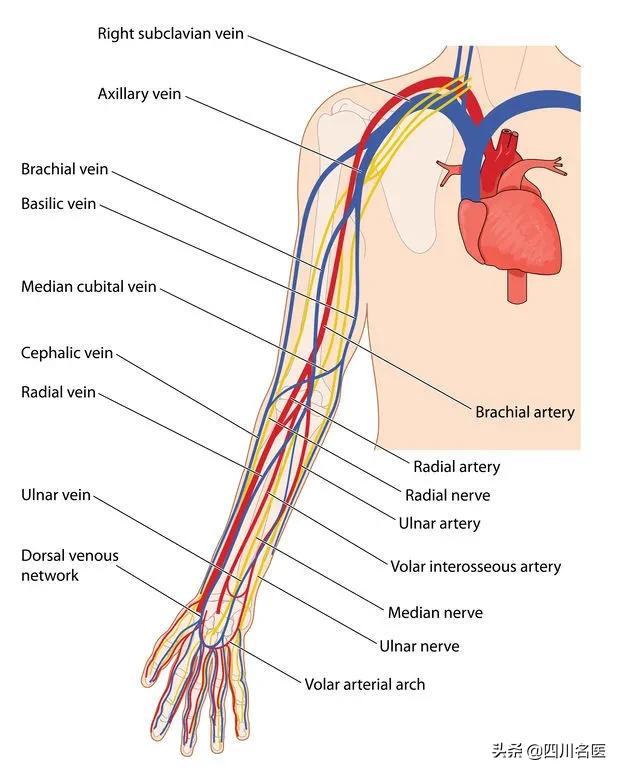 别再趴着睡觉了!22岁小伙一觉醒来“手残”了!医生:最好的睡姿是它