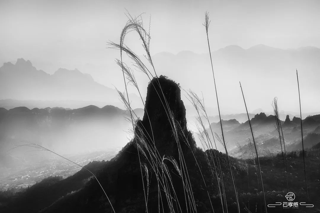 李鸿飞摄影作品初春,李鸿飞画家