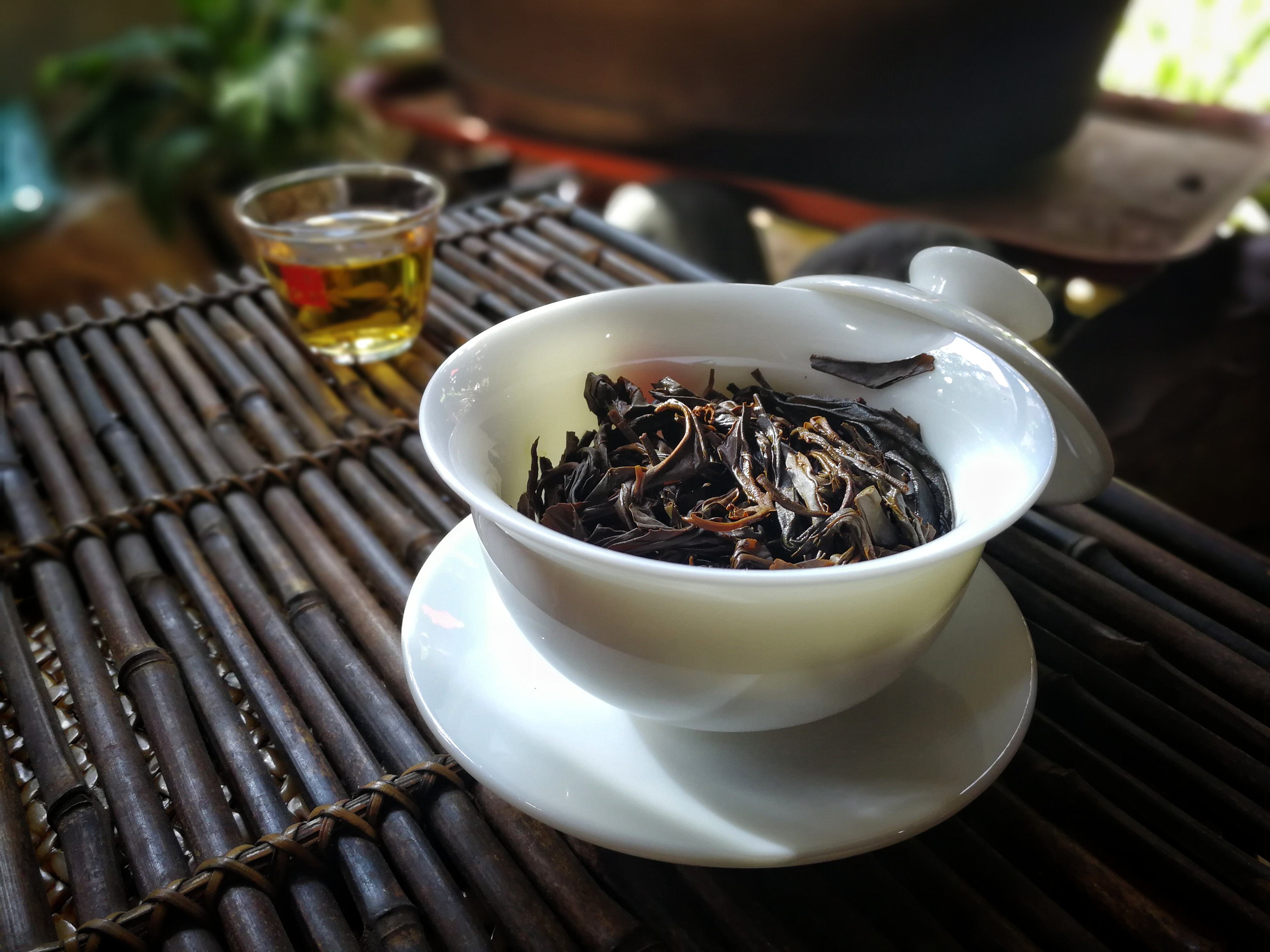 茶博会茶艺教程,带你玩转成都茶博会