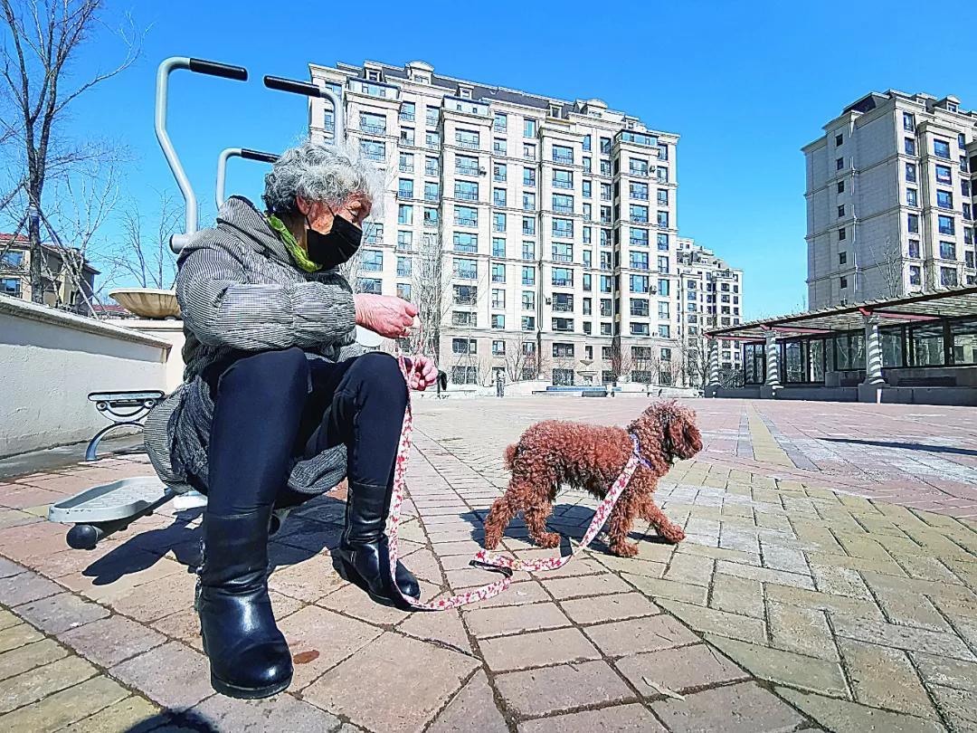 醒来！大庆正在有序恢复生产生活秩序【大庆读本·战疫】