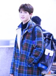 ninepercent是为什么解散的,ninepercent解散意味着什么