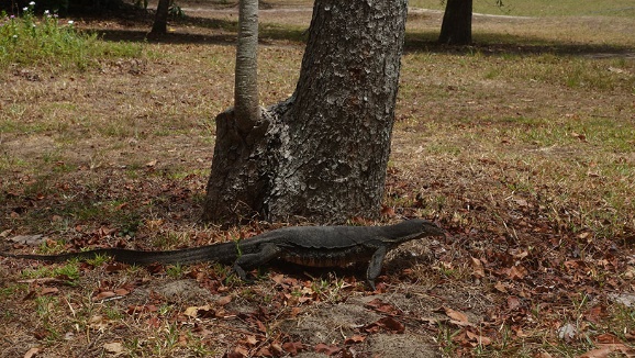 沙巴自由行超详细攻略 (沙巴攻略详细介绍)