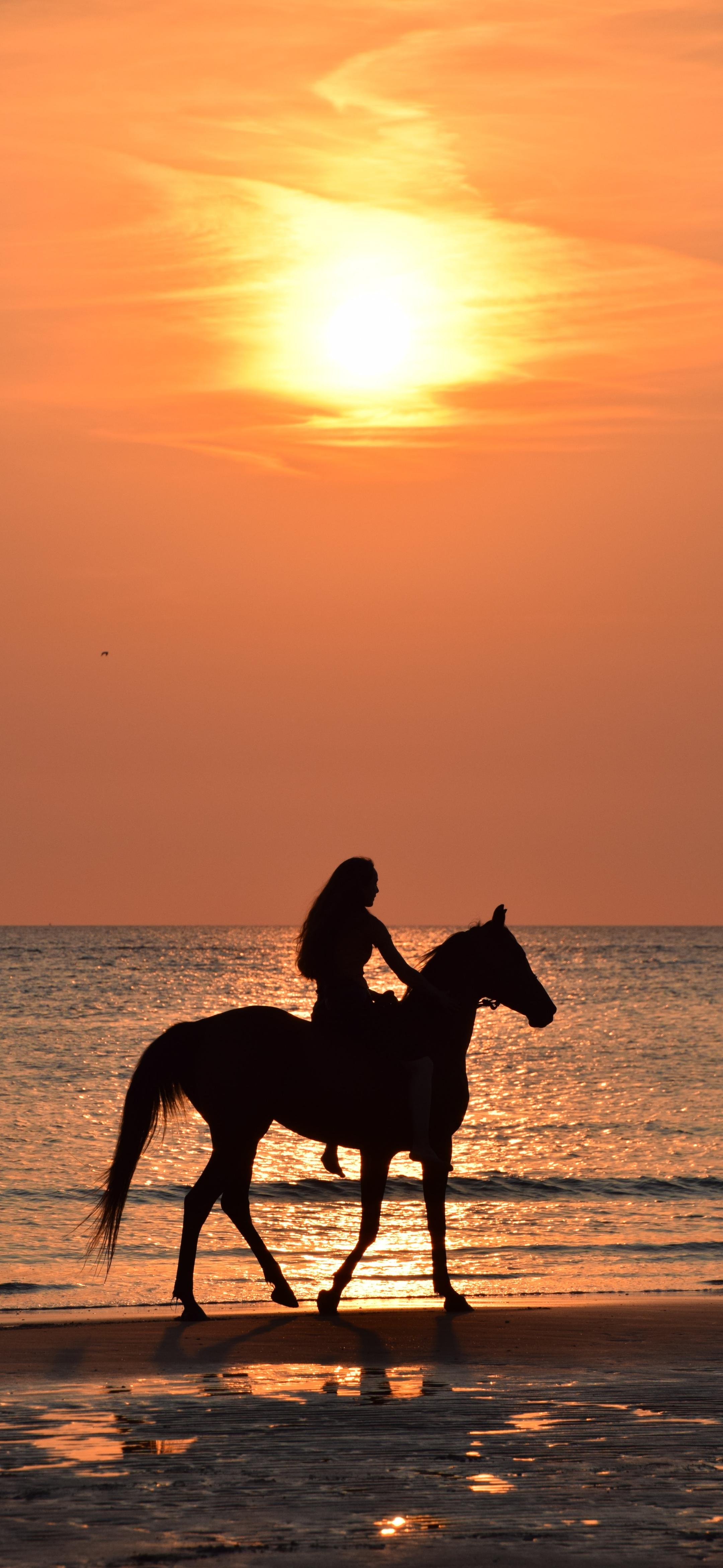 4k高清手机壁纸动漫,4k高清手机壁纸阿狸