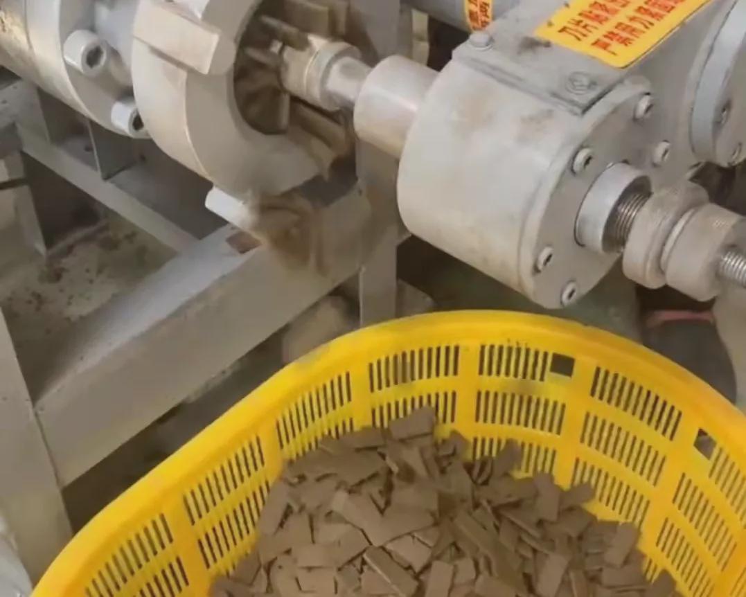 海参笼子养参能长大吗,海参参苗培育多长时间